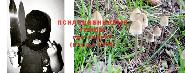 стаф Алексин