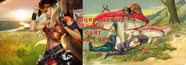 стаф Алексин