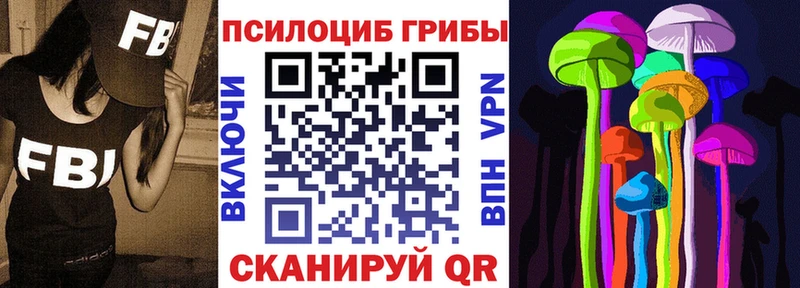 Псилоцибиновые грибы мицелий  Черкесск 